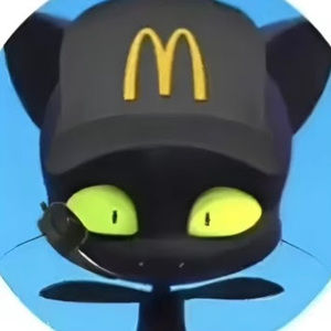 Meet your Posher, Rayyan